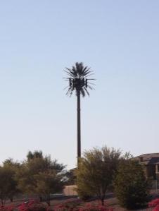 Palm tree cell tower